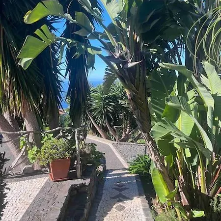Holiday home Lucky Lemons Boutique Madeira 1