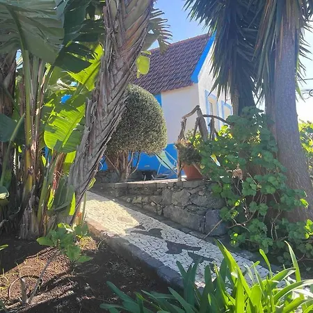 Lucky Lemons Boutique Madeira 1 Vakantiehuis *