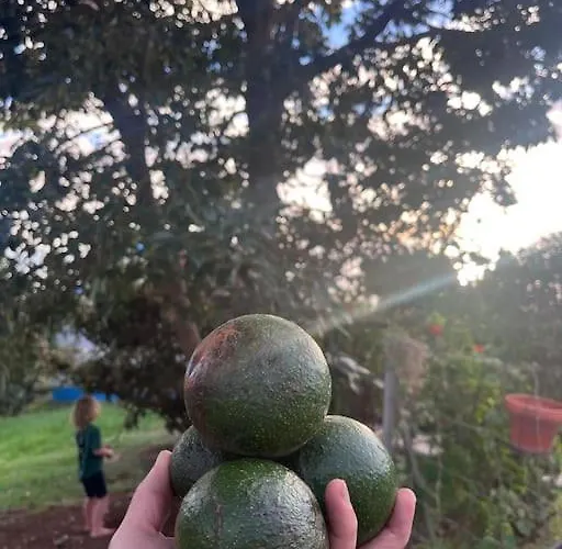 Prázdninový dům Lucky Lemons Boutique Madeira 1 Calheta (Madeira)