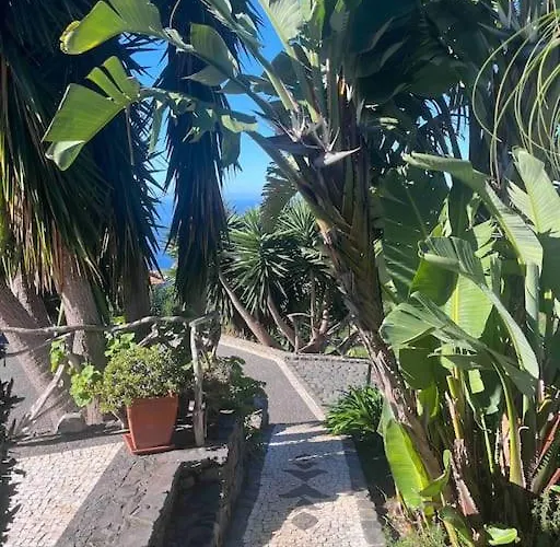 Prázdninový dům Lucky Lemons Boutique Madeira 1